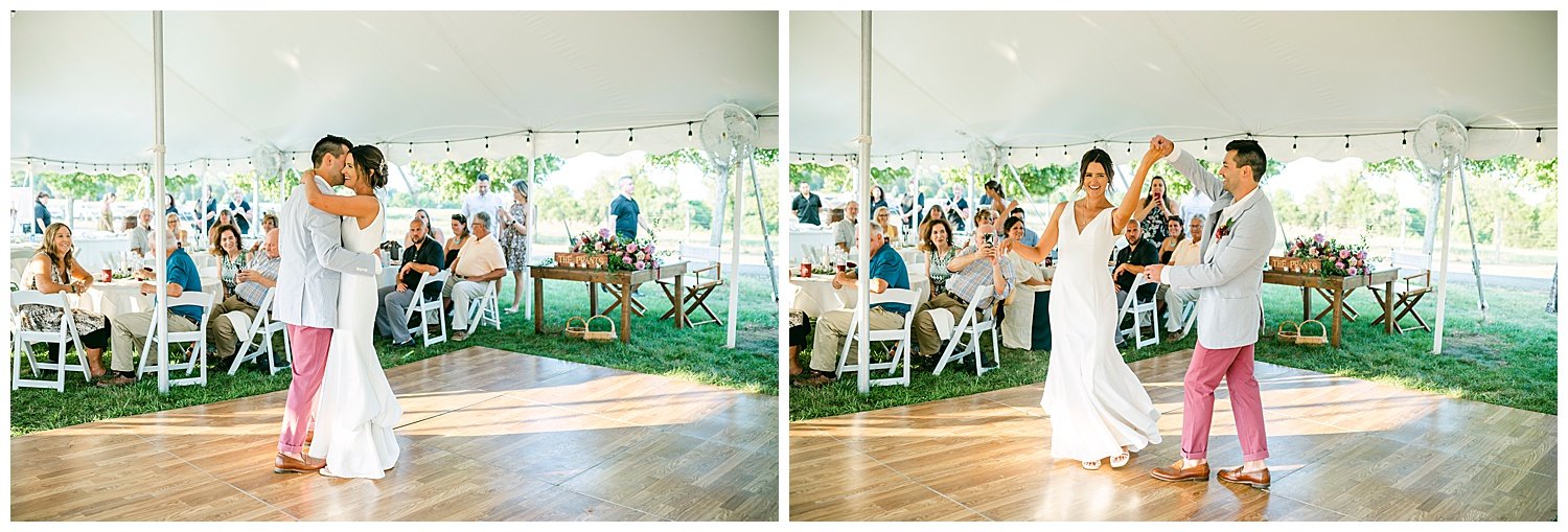 Polo-Field-Wedding-Horse-Farm-Allamuchy-NJ-Apollo-Fields-Photography-51.jpg