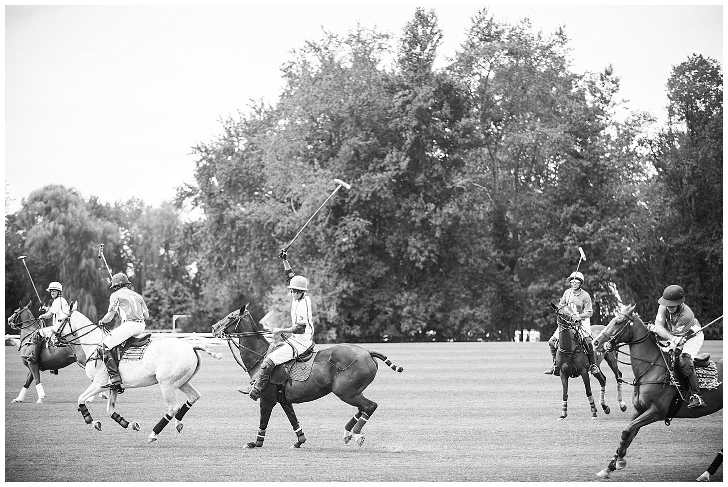 Polo-Field-Wedding-Horse-Farm-Allamuchy-NJ-Apollo-Fields-Photography-88.jpg