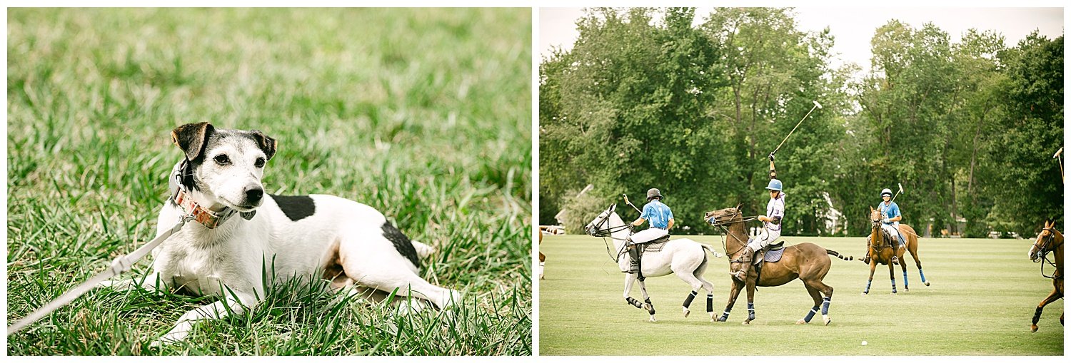 Polo-Field-Wedding-Horse-Farm-Allamuchy-NJ-Apollo-Fields-Photography-89.jpg