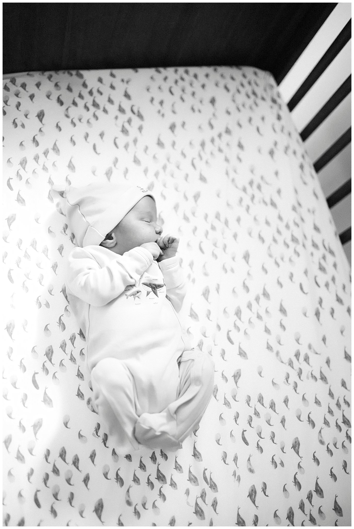 Northport-NY-Newborn-Photographer-Apollo-Fields-002.jpg