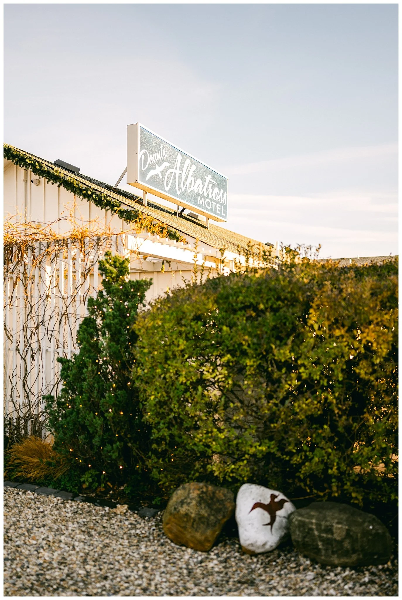 Daunts-Albatross-Motel-Montauk-Photography-37.jpg