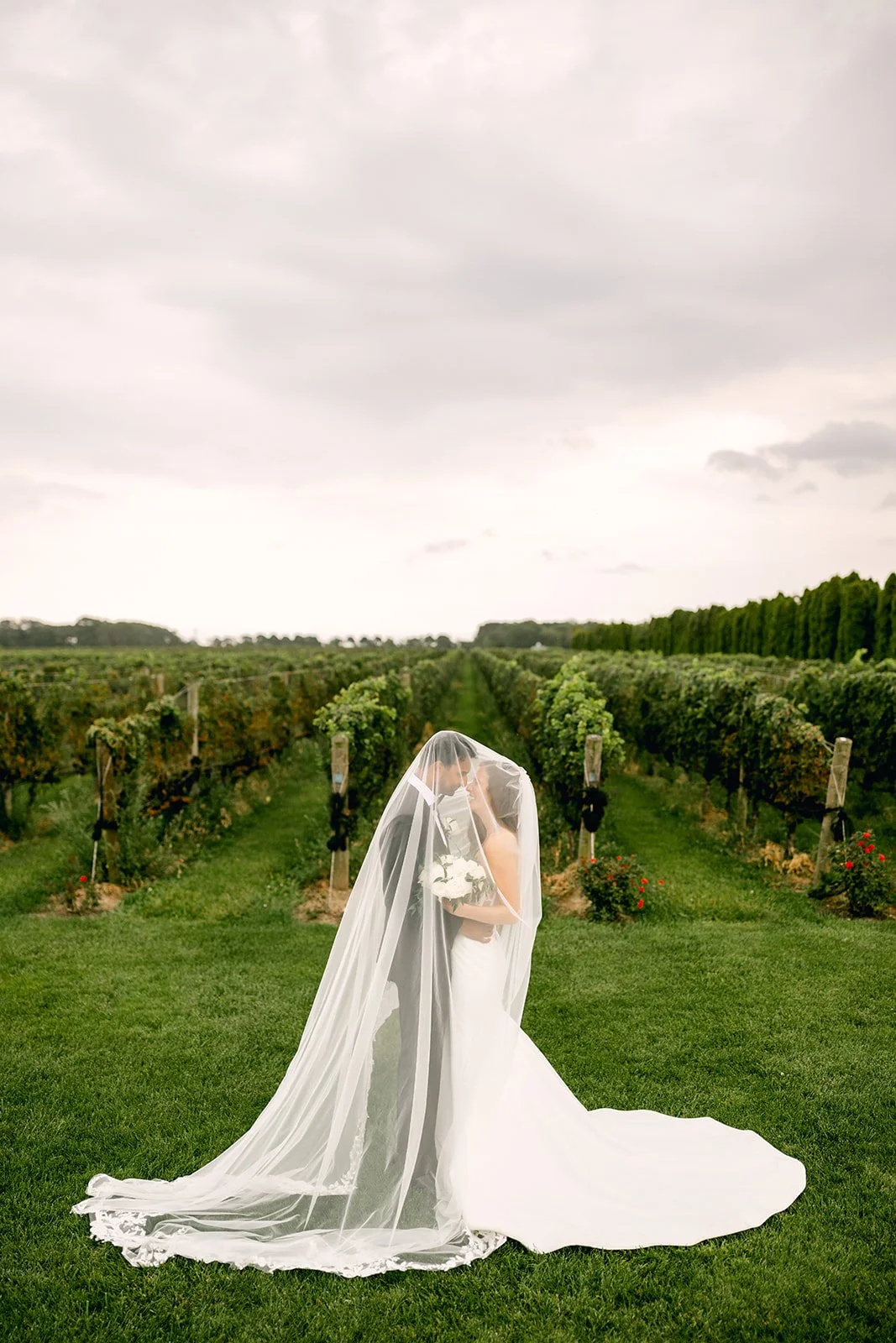 A bride and groom embrace beneath a wedding veil in a vineyard.