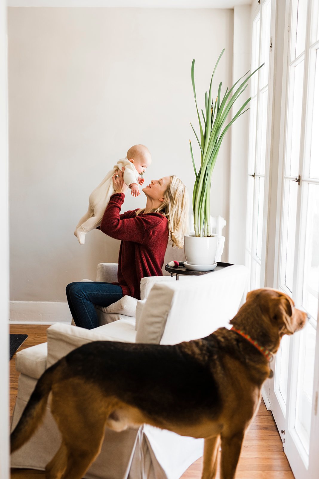 A woman lifting a baby in a cozy living room with sunlight streaming through large windows. A large potted plant and a brown dog are also in the scene.