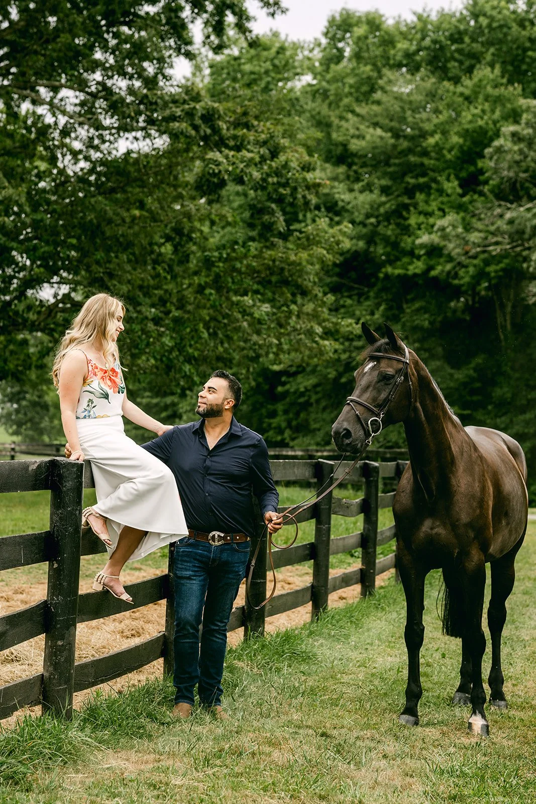 A woman sitting on a fence looks at a man standing beside her, holding a horse's bridle. They are outdoors with green trees in the background.