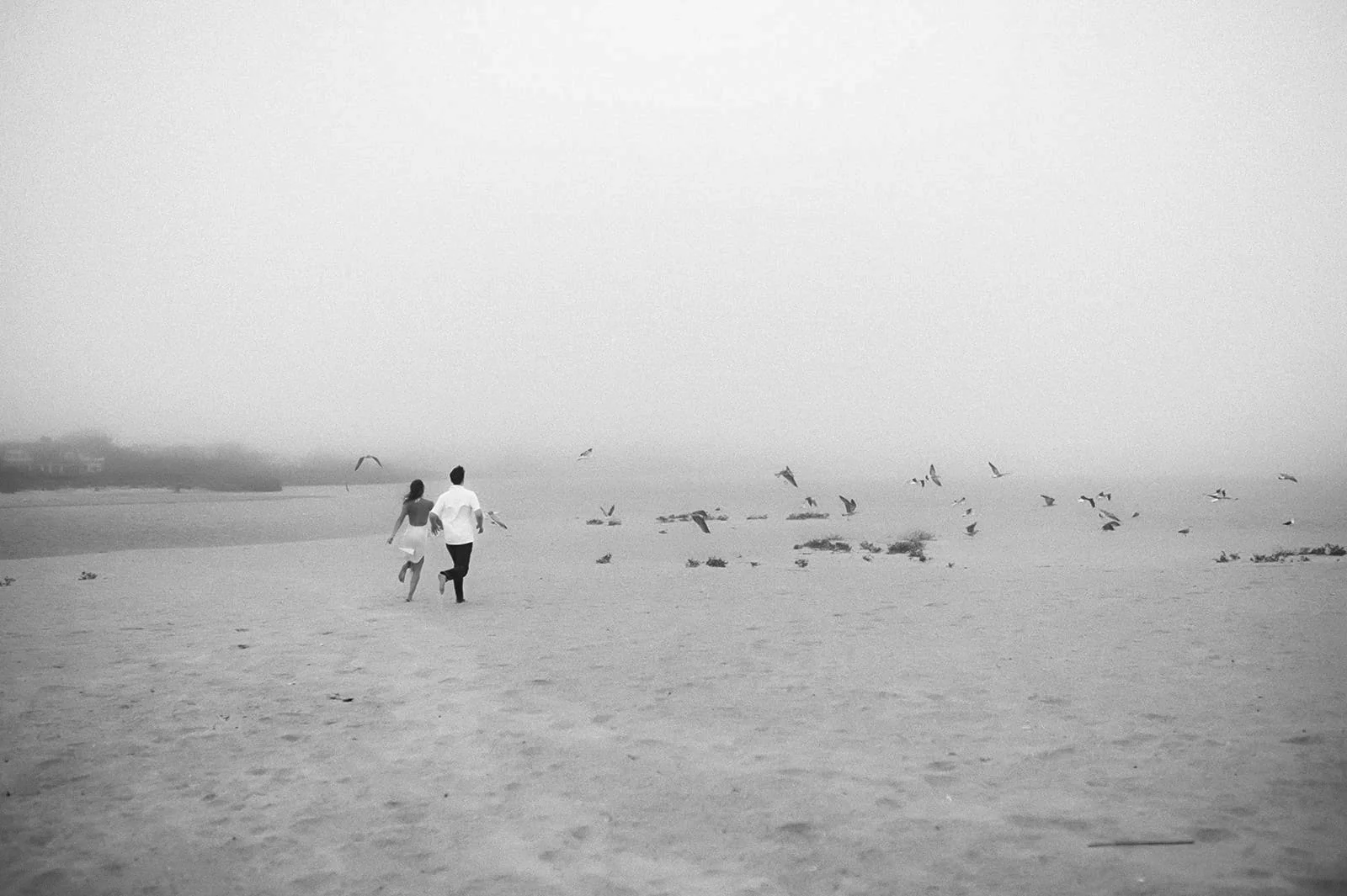 A black-and-white photo of a couple running on a beach with seagulls flying around.