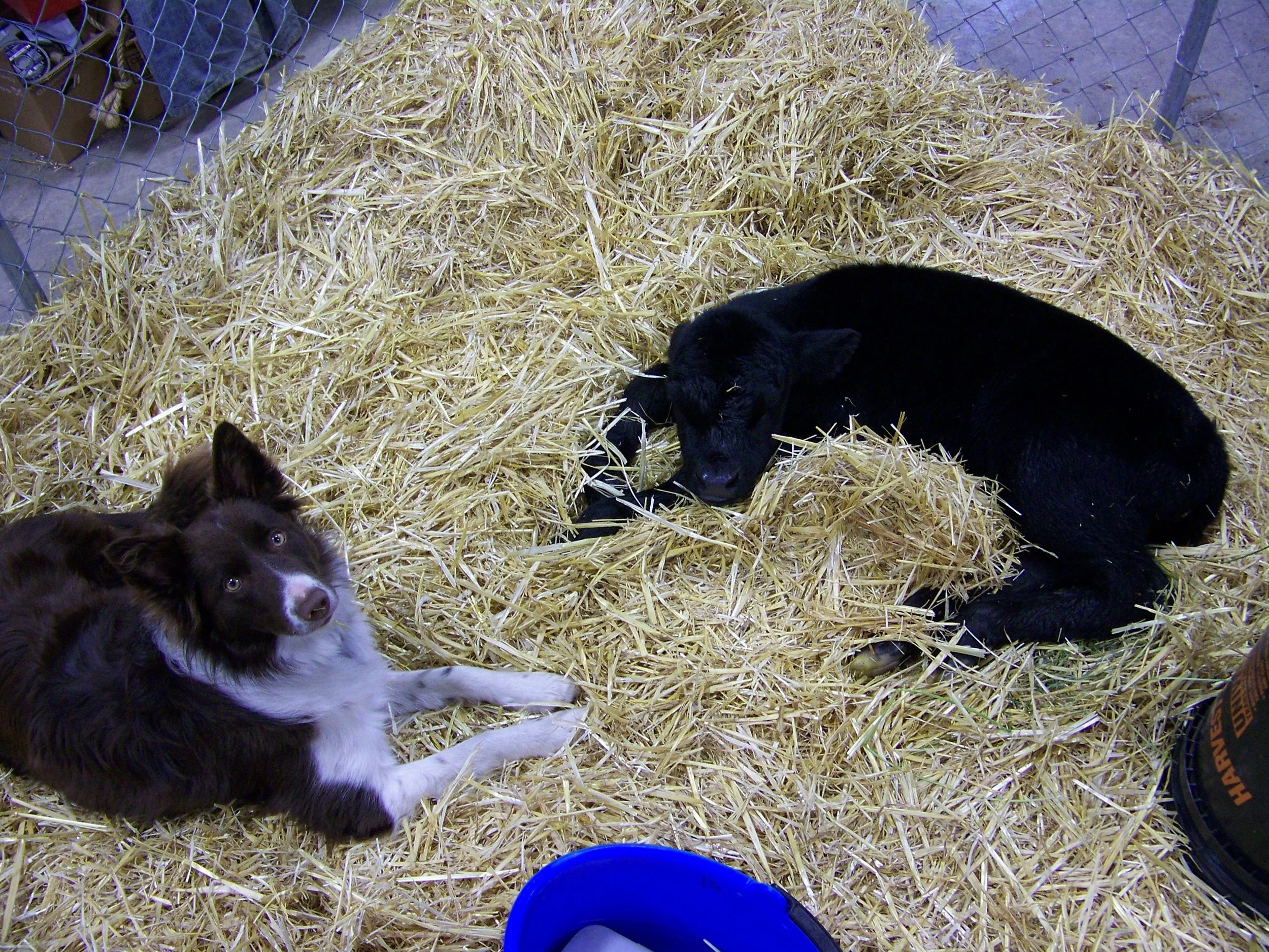 Firsts.  Jan 22, 2014