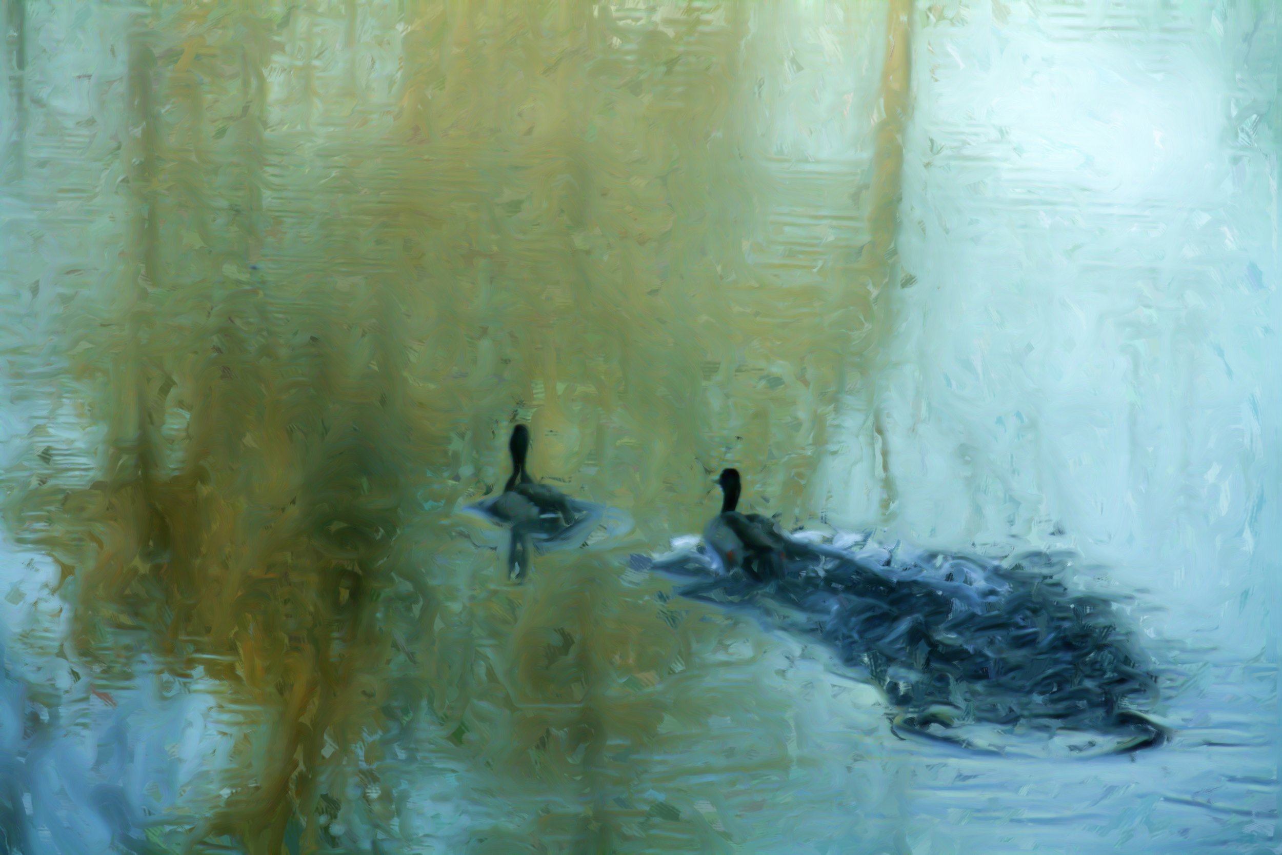 Fonda Haight - two duck land_Painting.JPG