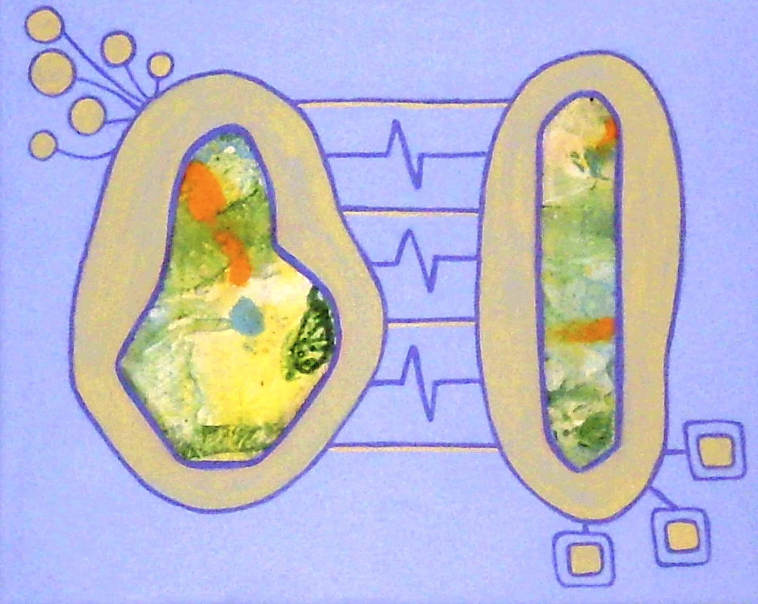 Amicable Incompatibility by Elizabeth Roetzel