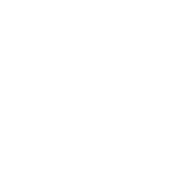 testimonial_icon copy.png