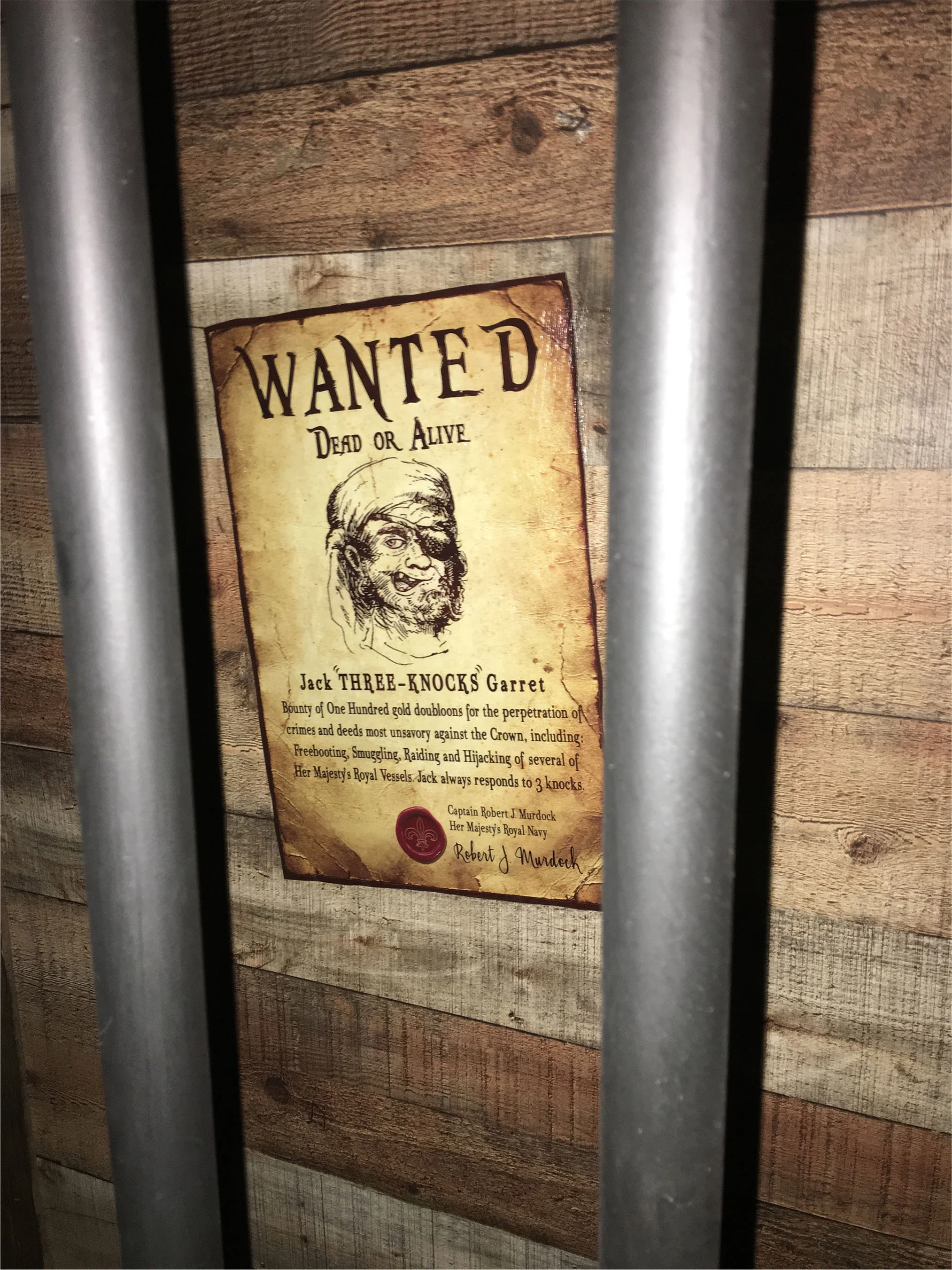 pirate_02.jpg