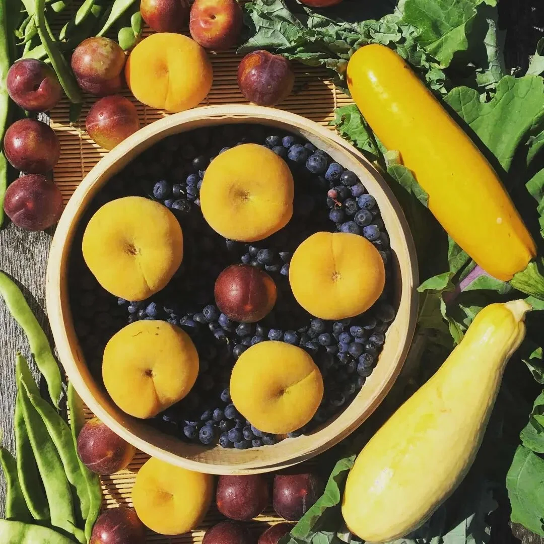 Happy Friday! We're excited to bring the color, the sweet, the hearty, and the sustaining to our markets this weekend! 

Tonight 4:30-7 in Chatham's Crellin Park @chathamfarmersmakersmarket 

Tomorrow @socratespark 10am till we sell out 

Plums! Peac