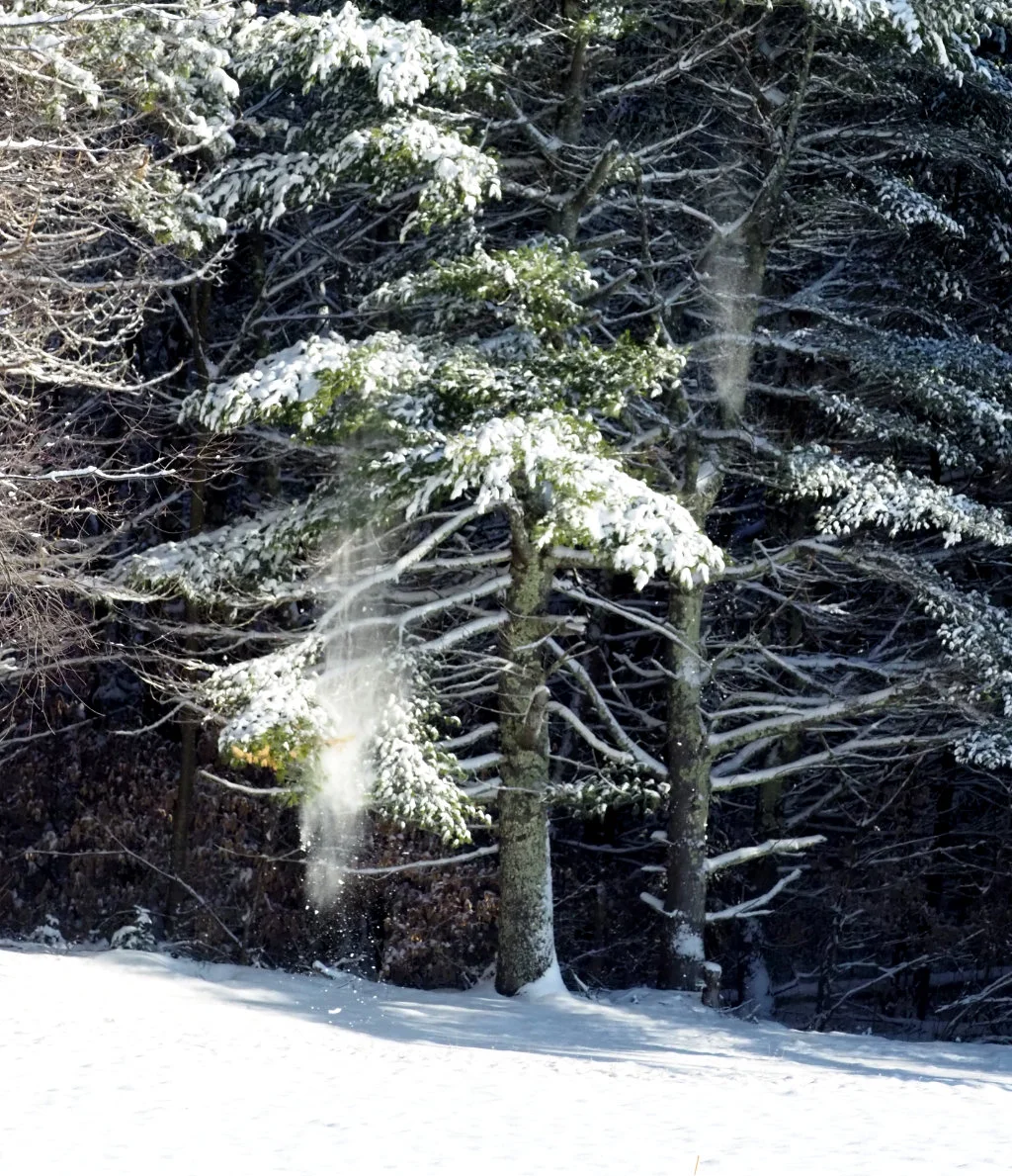 Snow burst