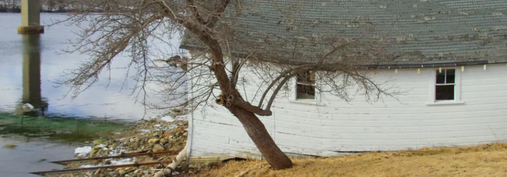 Aging Well in Waldo County