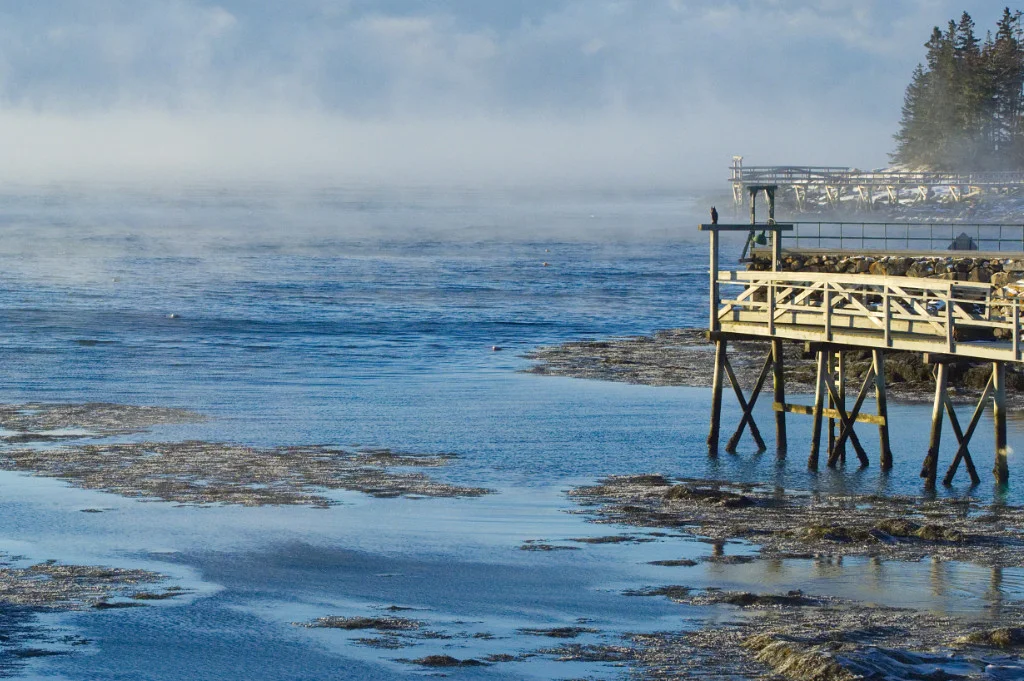 PC280659 cropped medium.jpg