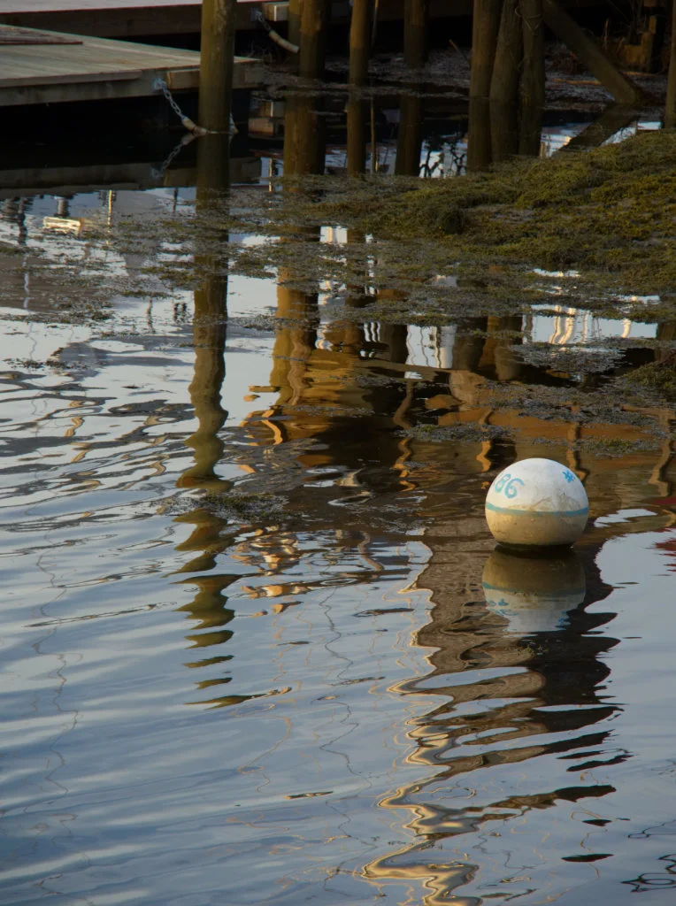 Belfast moorings P5200040.jpg