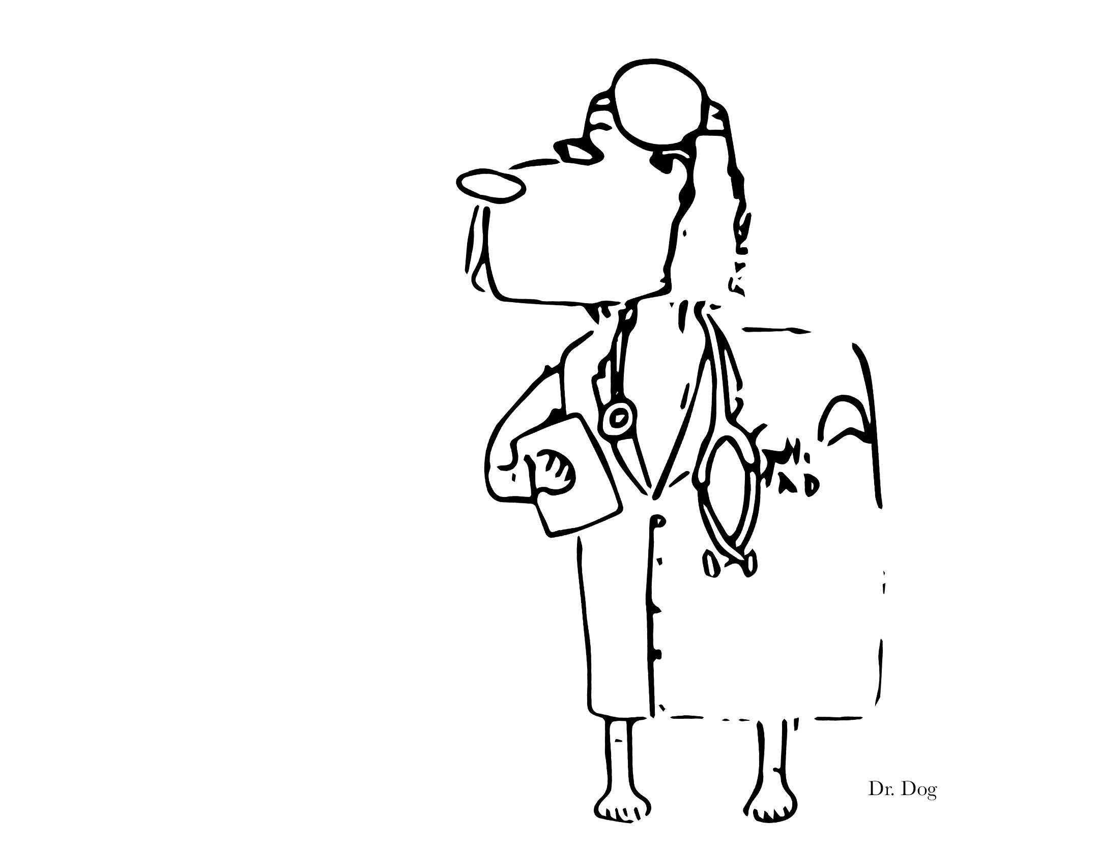 Illustrated Animal Bands! _Page_5.jpg