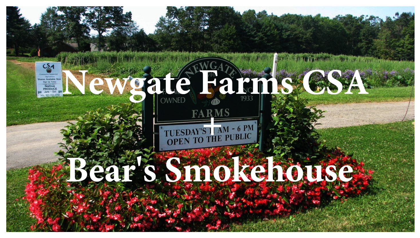 Bear's Smokehouse BBQ