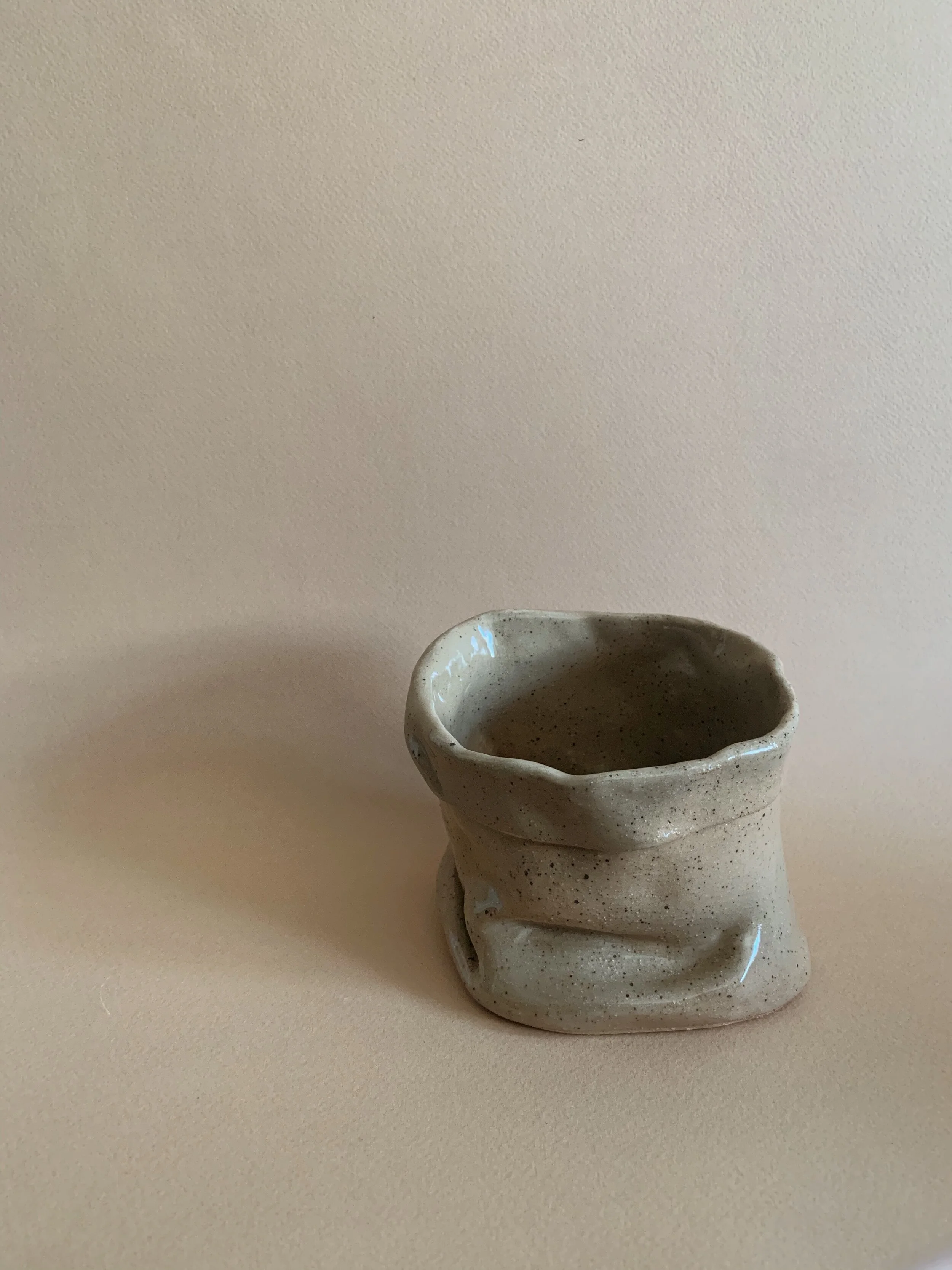 4.5" Paper Bag Planter