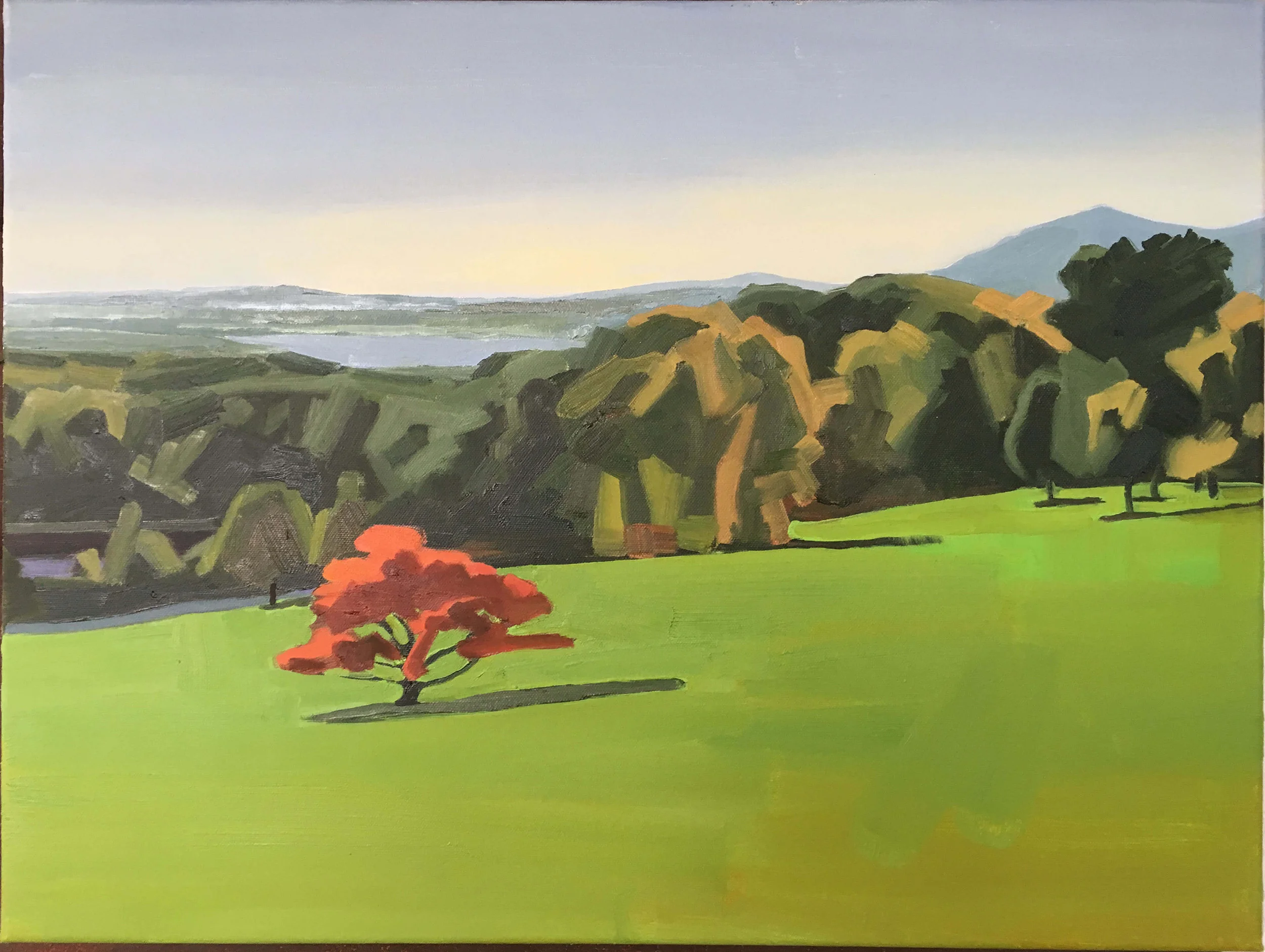 Matthew McFeely
