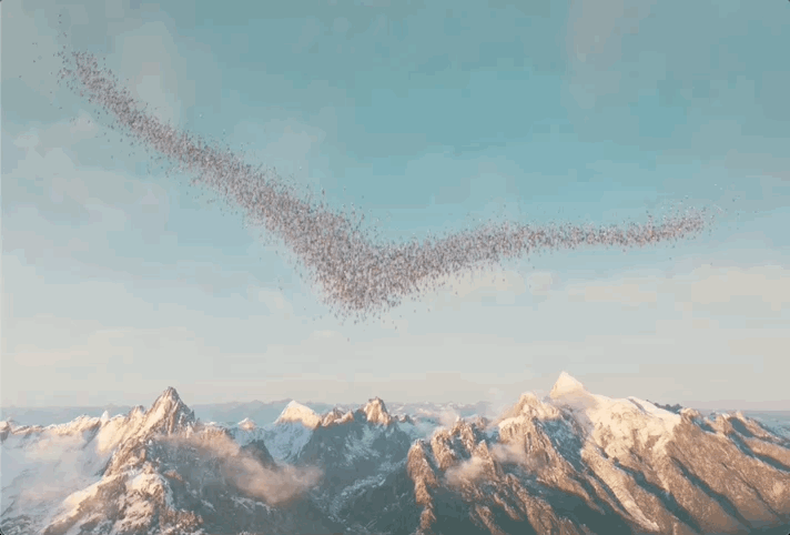 Jun-20-2023 13-07-49.gif