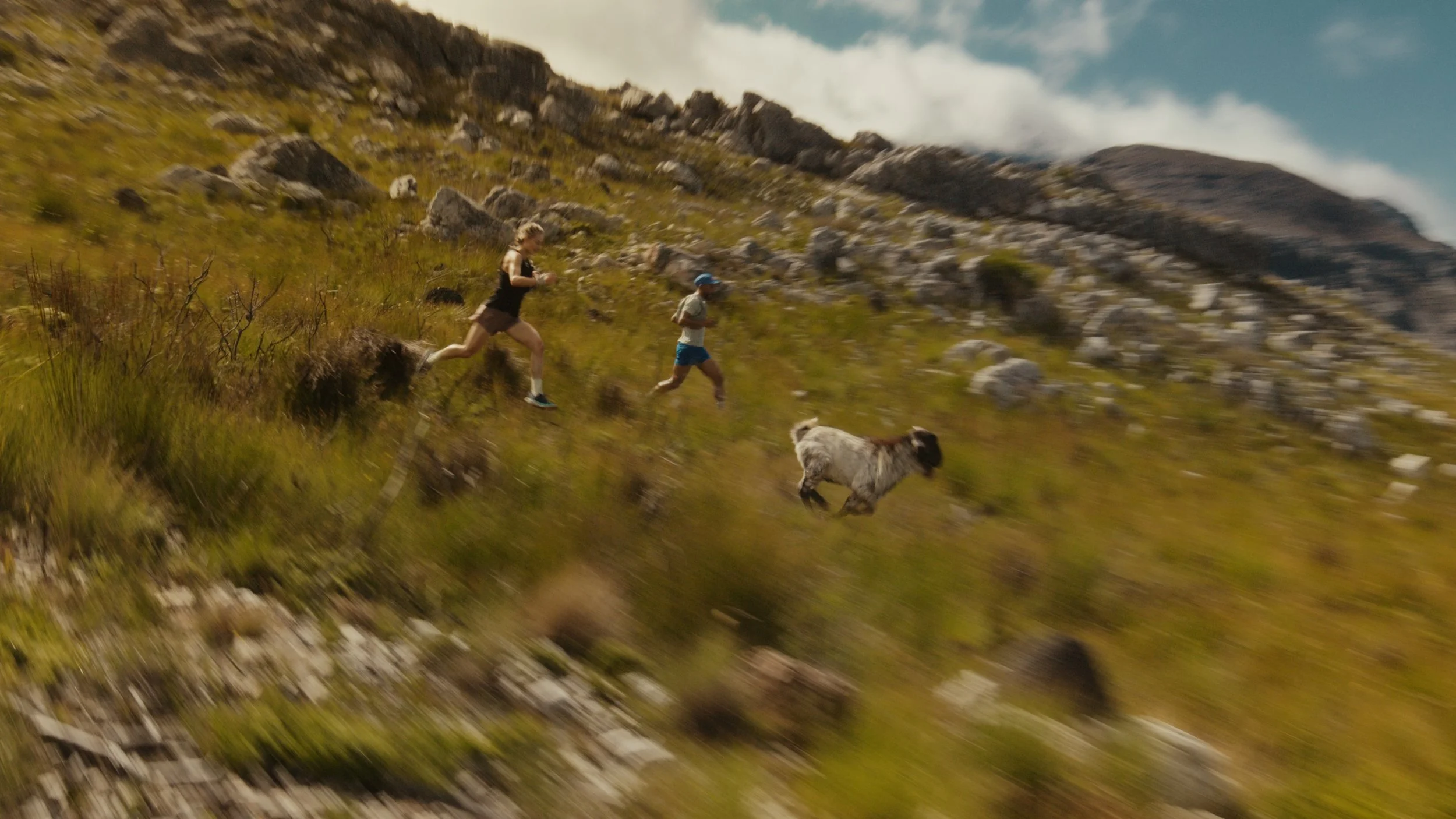 GOA_0060_comp_v001_still.0001 2.jpeg