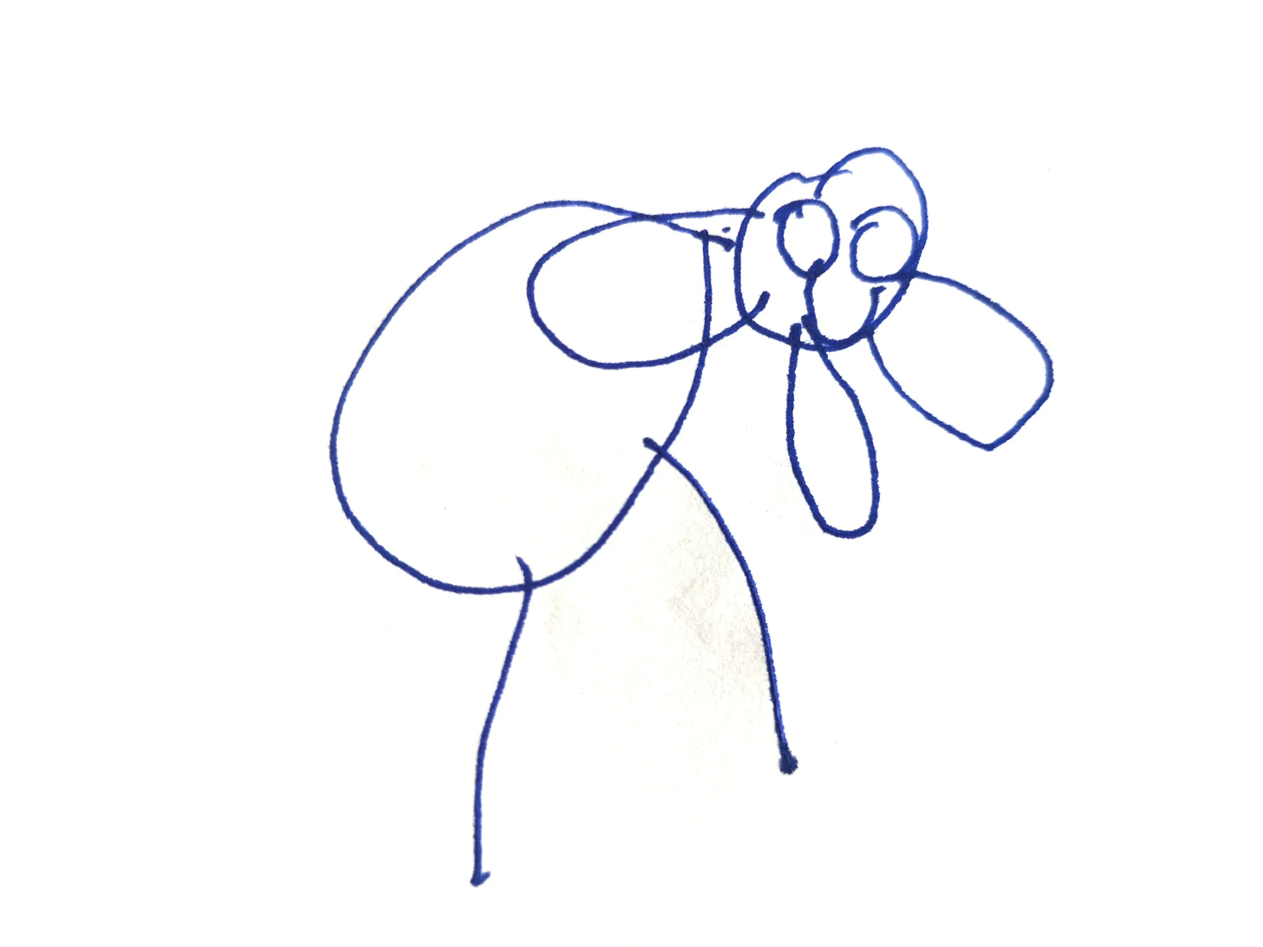 elefantblanco2.jpg