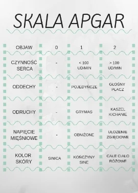 SKALA APGAR.jpg