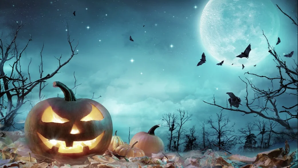 Why Are Spiders Associated With Halloween?
