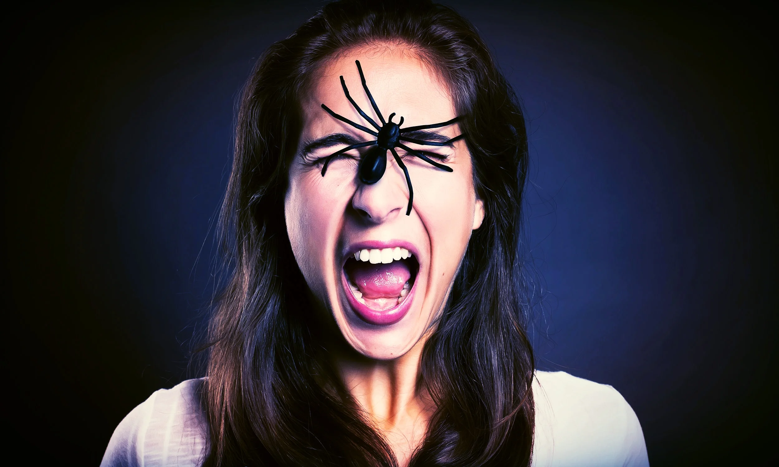 The Fear, The Psychology, And True Nature Of Insects