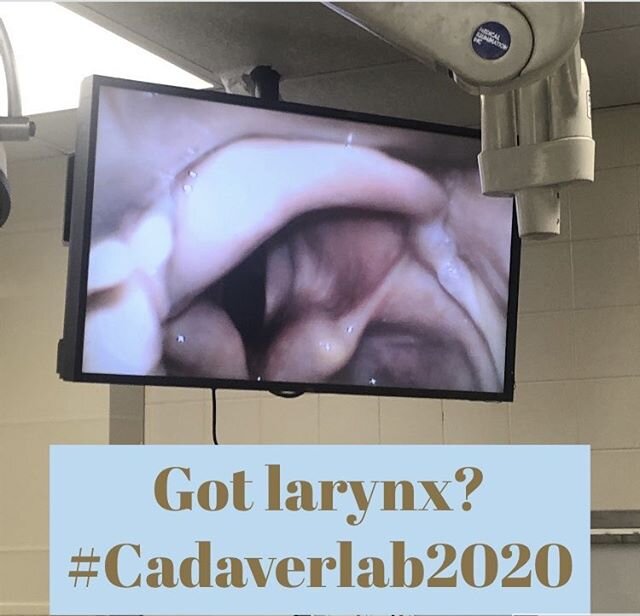 Got larynx? Cadaverlab2020 coming soon! #nurses #nursing #medics #paramedics #ems #emergencymedicine #criticalcare #crticalcaretransport #paramedicstudents