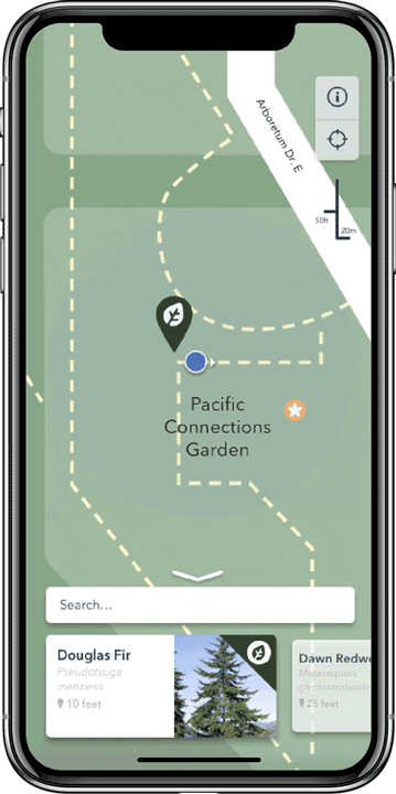 nearby-with-frame.gif