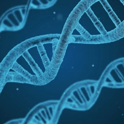 Hasta La Vista, Baby:  Oocyte Cryopreservation as an Employee Benefit Offering