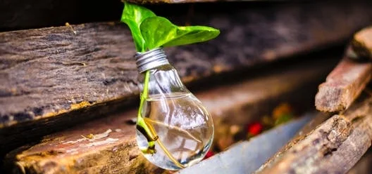 Corp Innovation FE blog.jpeg