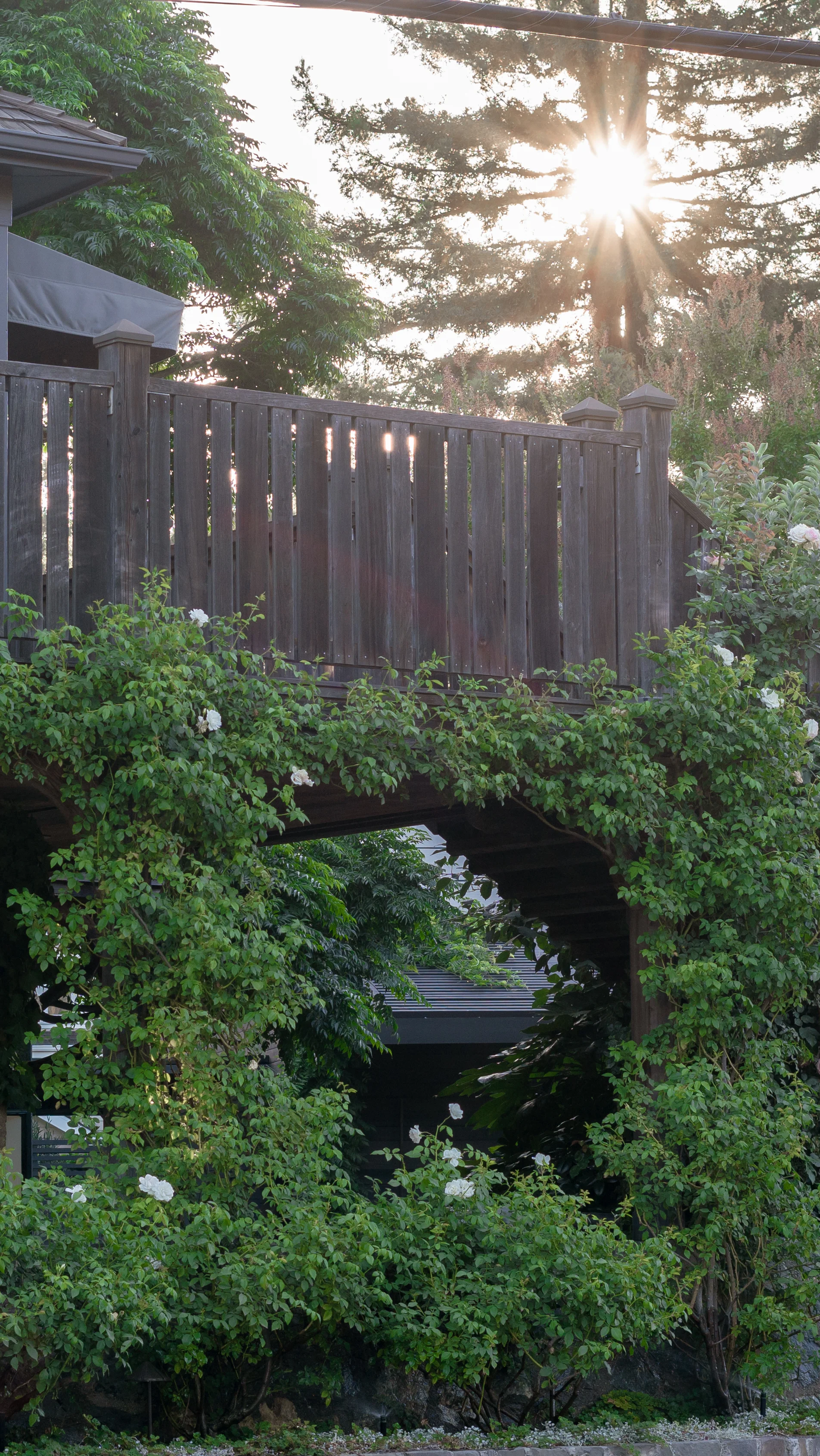 FRENCH LAUNDRY-3.jpg