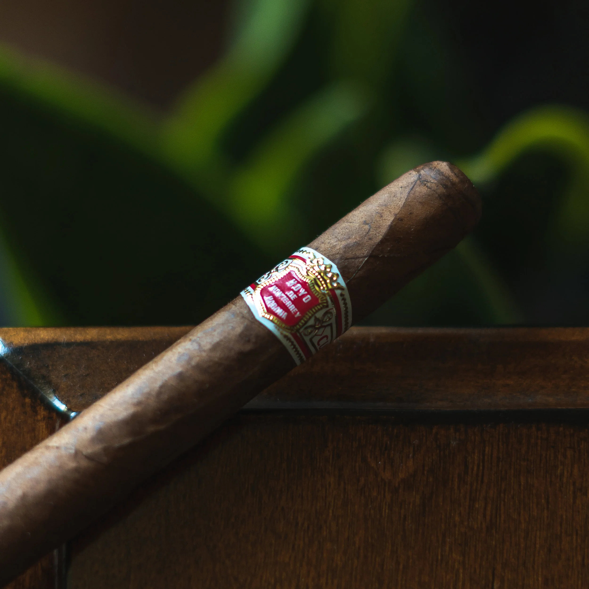 purotrader-hoyo-7.jpg
