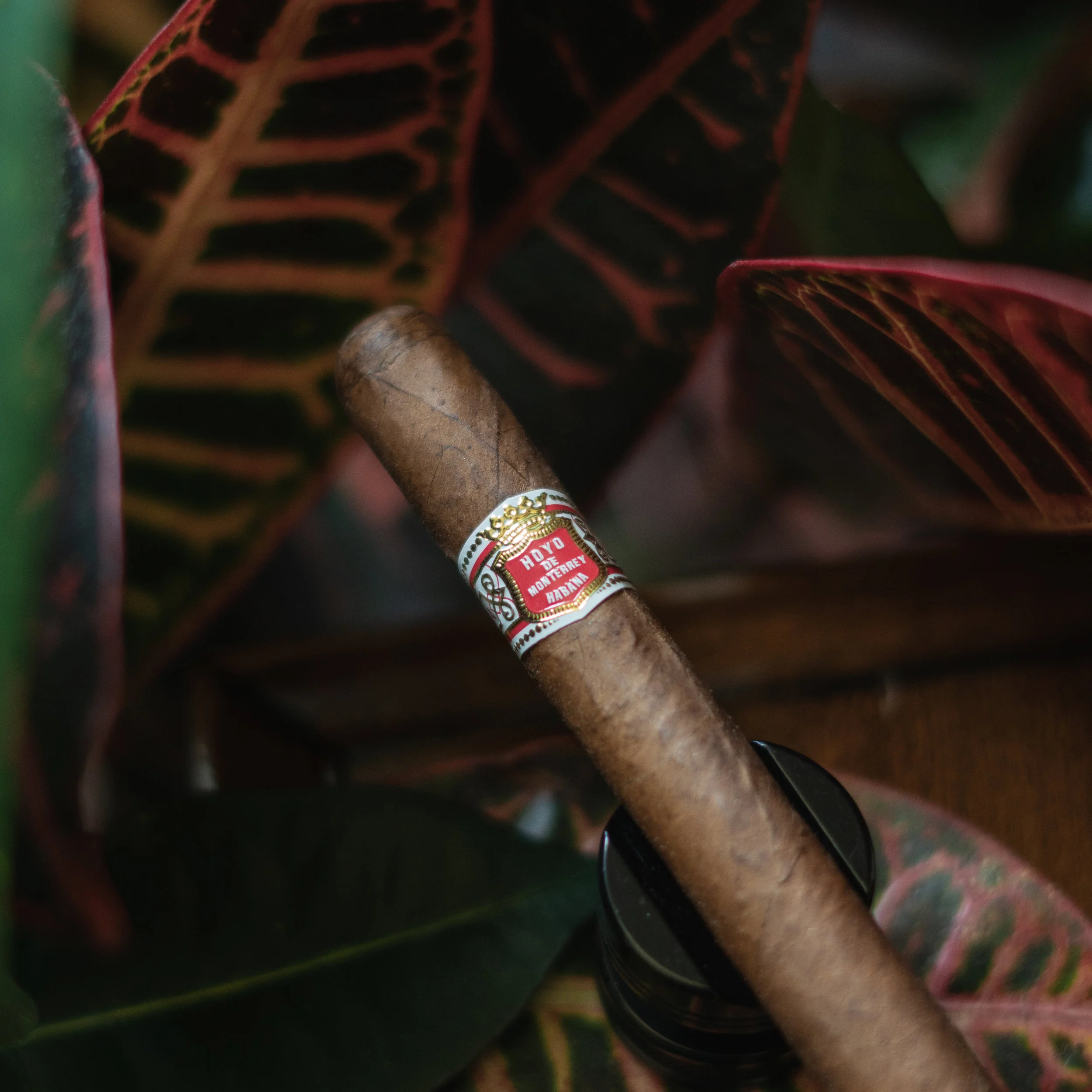 purotrader-hoyo-11.jpg