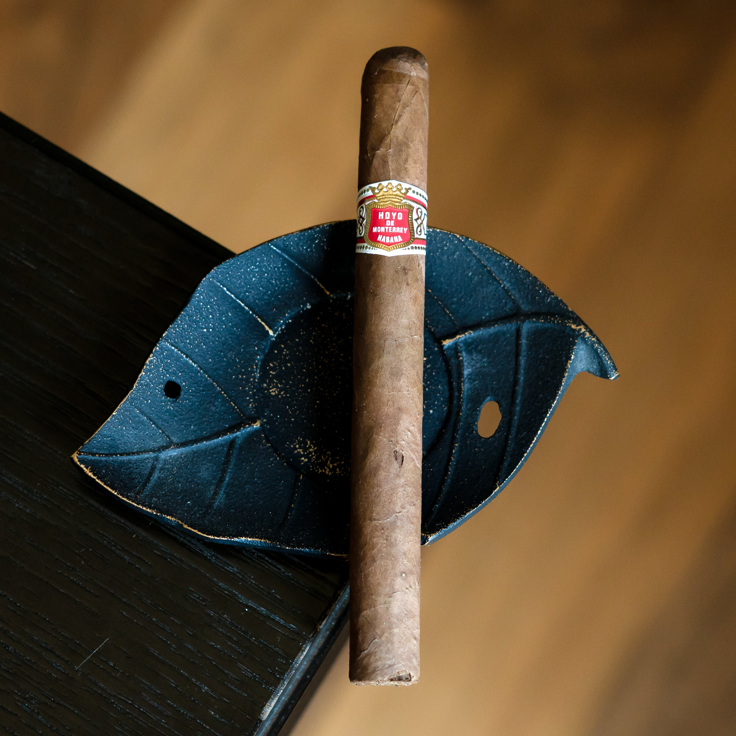 purotrader-hoyo-17.jpg
