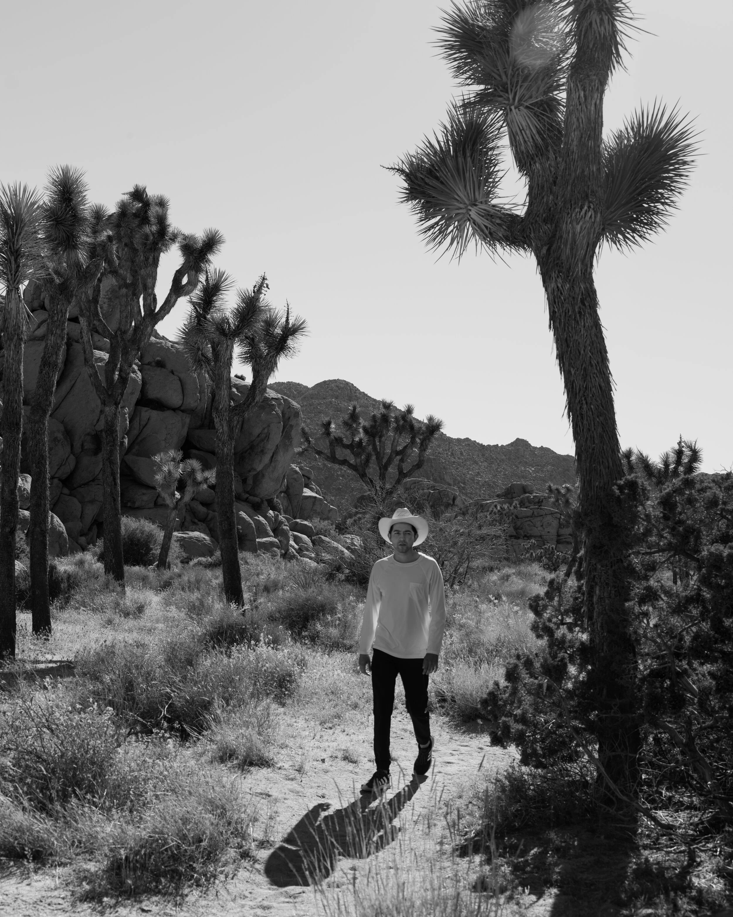 joshua-tree-6.jpg