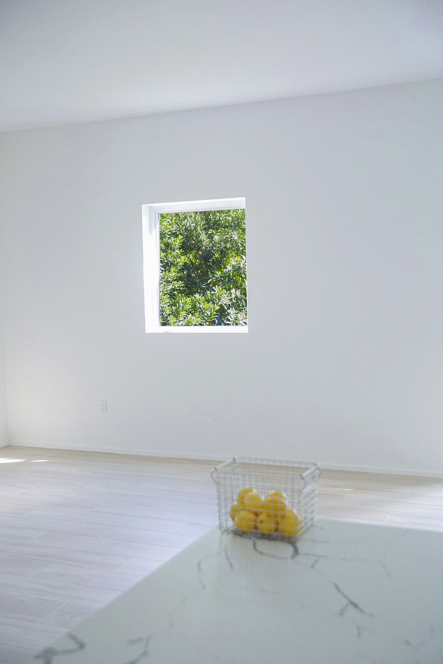 RickyCoheteAllapattahDuplex-living.jpg
