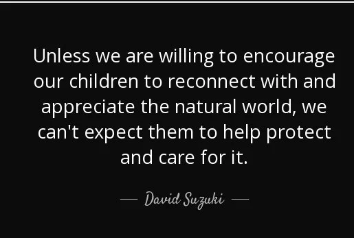 david quote.jpg