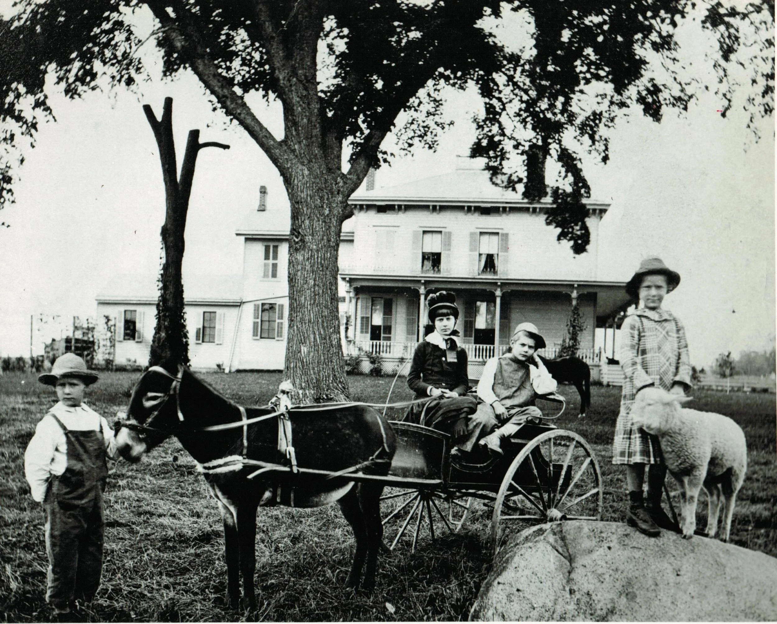 ca. 1896