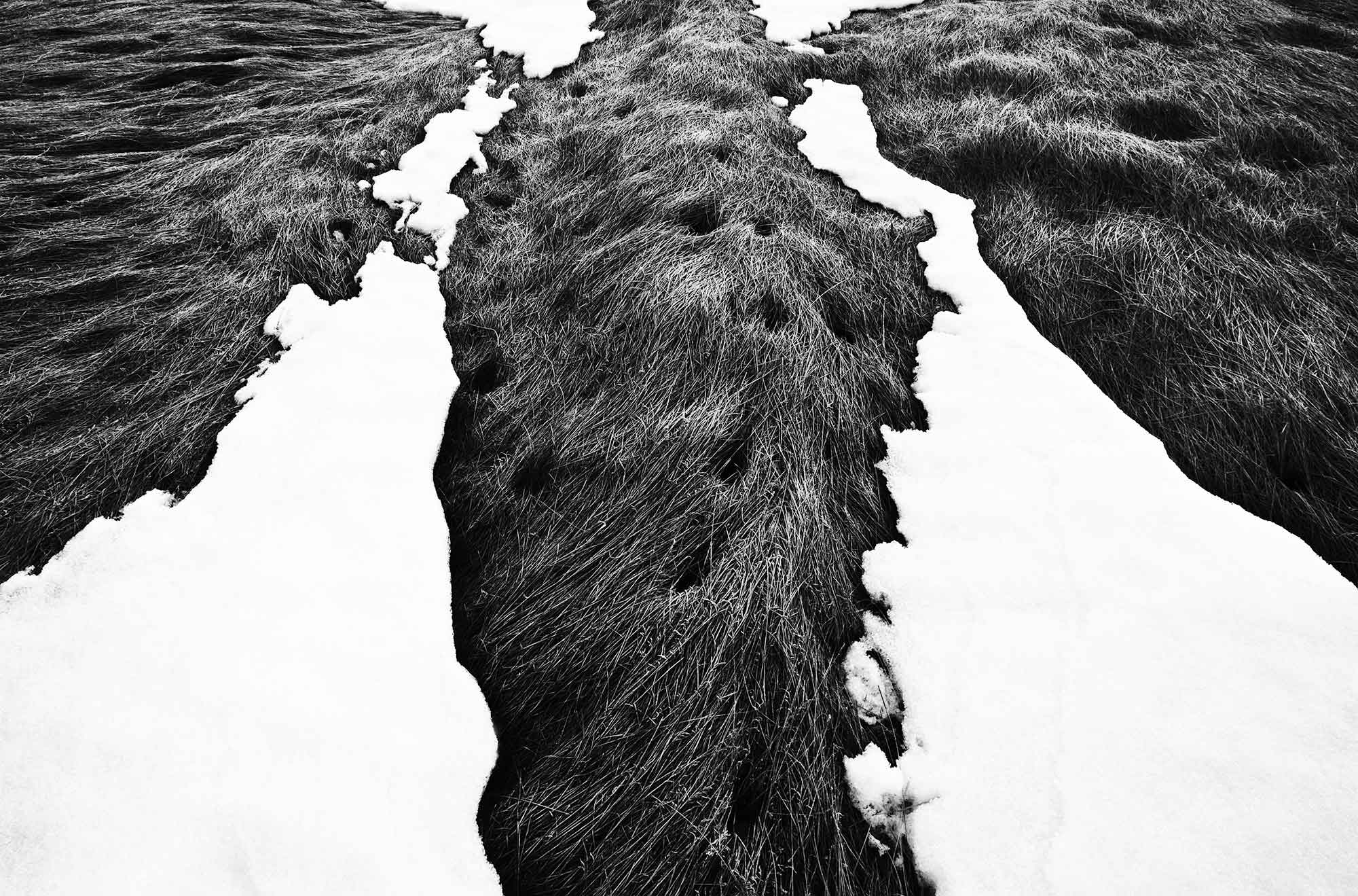Thaw 2