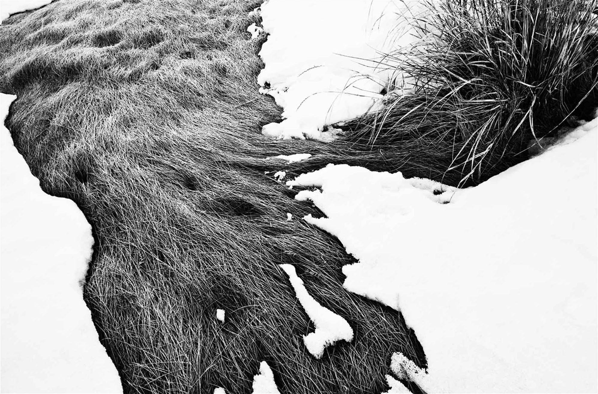 Thaw 1