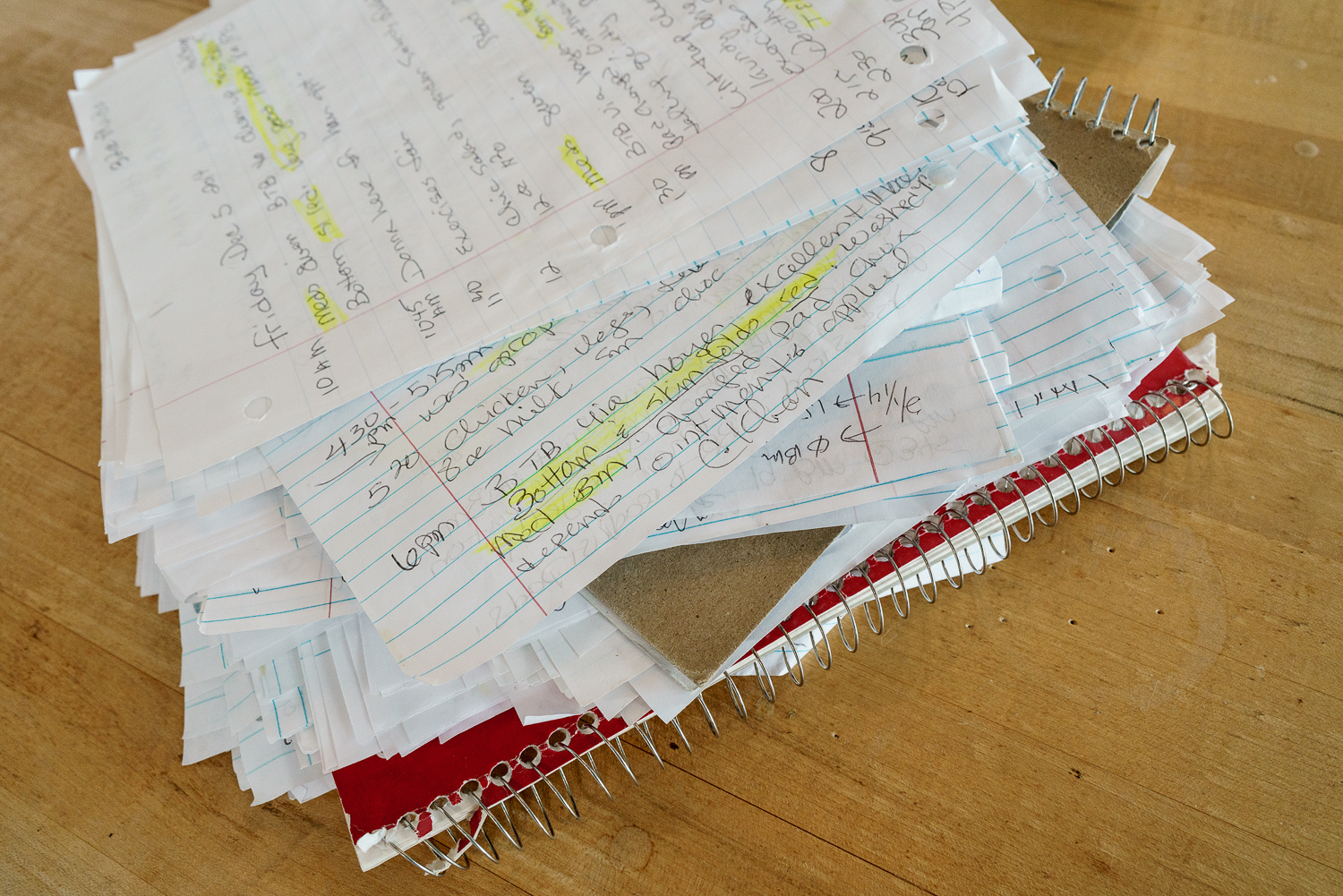 Notebooks of daily records.