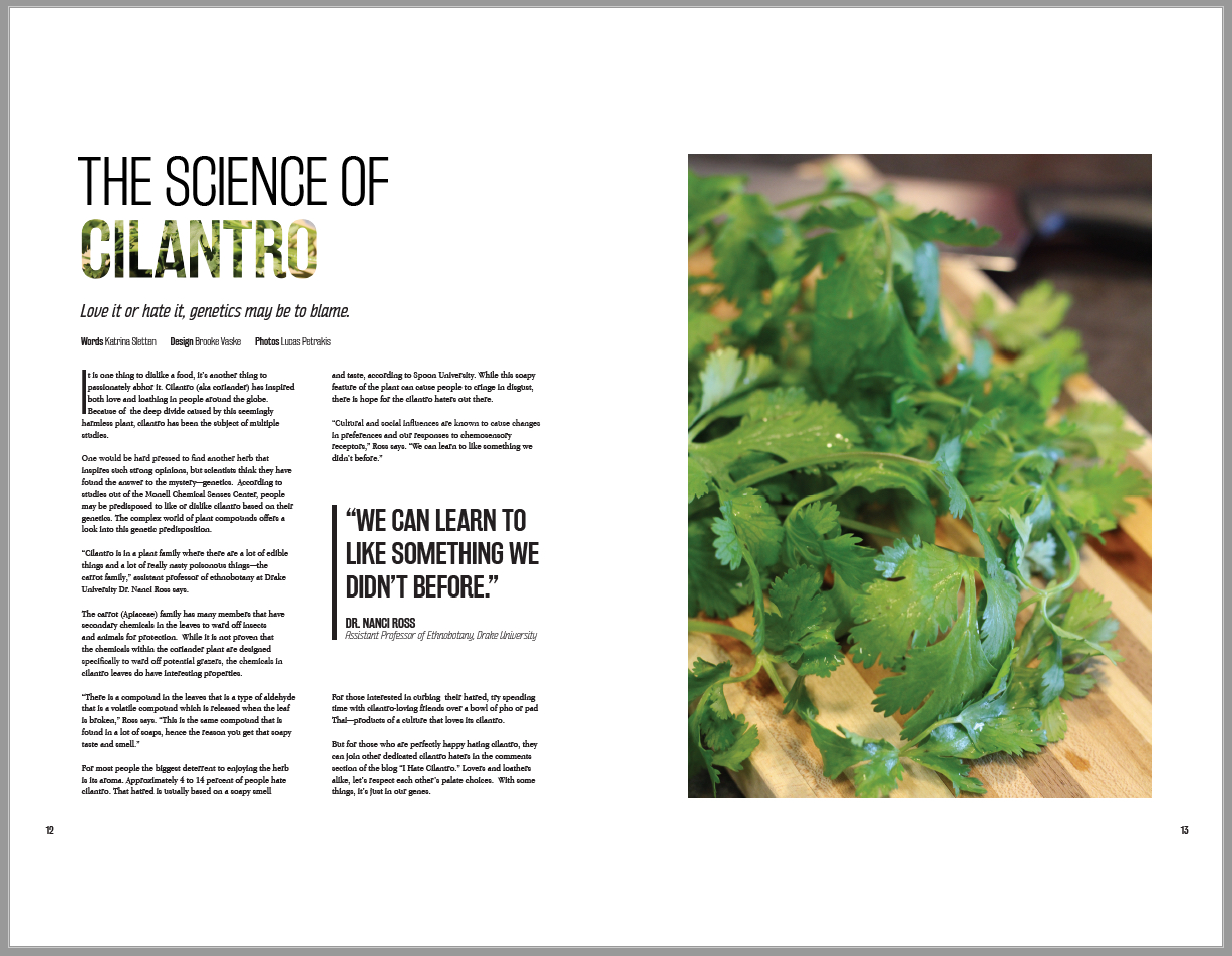 Words by Katrina Sletten, Design by Brooke Vaske