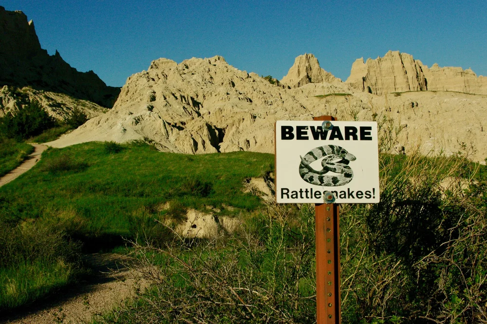 No rattlesnake sightings for us