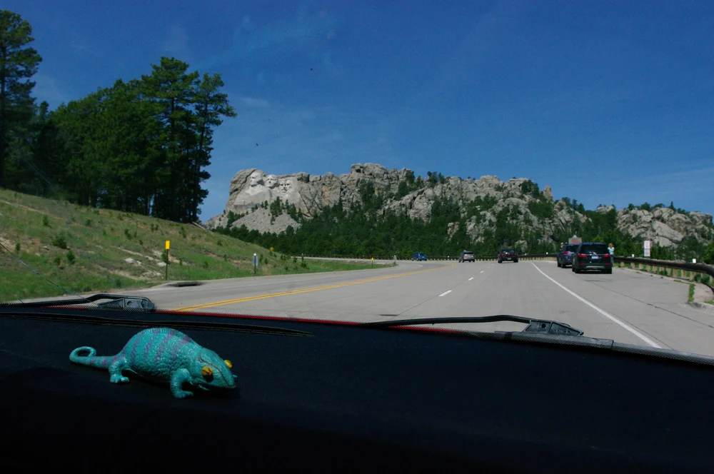 Driving up to the monument (and Gus, our dashboard companion)