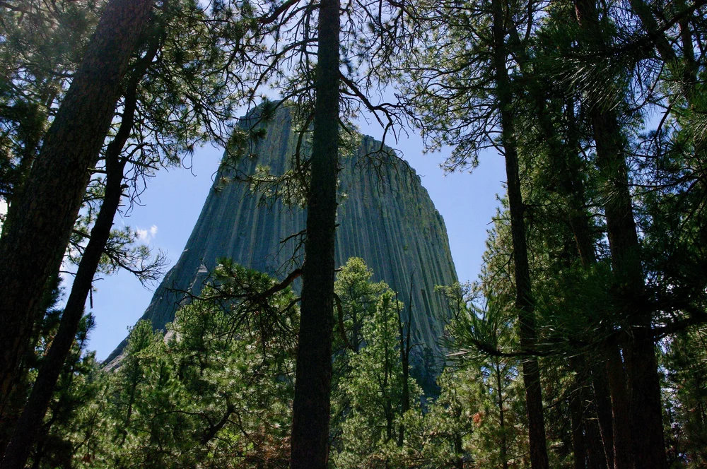 Last picture of Devil's Tower...I promise