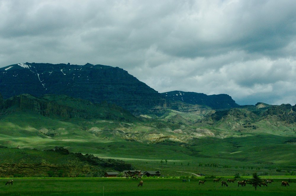 Driving into Yellowstone