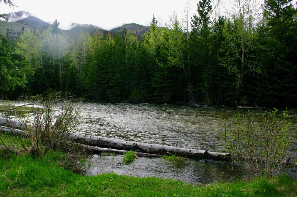 River by our remote campsite
